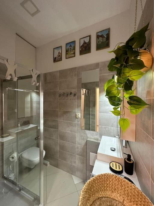 Salt Inn Apartments No 1 เวียลิชกา ภายนอก รูปภาพ